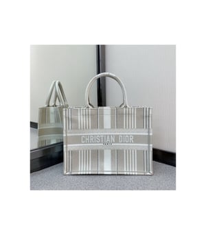 Christian Dior Small Book Tote Beige Stripes Embroidery