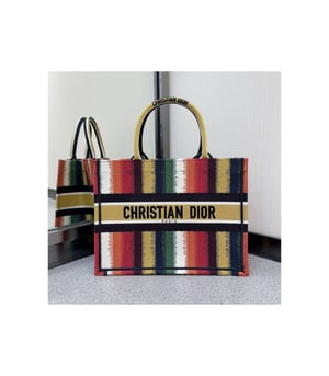 Christian Dior Small Book Tote Multicolor D-Stripes Embroidery