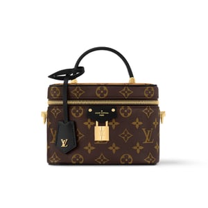 Louis Vuitton Vanity Chain Pouch Monogram Reverse Brown 19Cm M47125