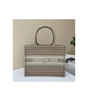 Christian Dior Small Book Tote Multicolor Stripes Embroidery