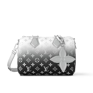 Louis Vuitton Speedy Bandouliere 25 Frost Gardiant Silver 25cm M11848