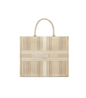 Dior Book Tote Beige Stripes Embroidery